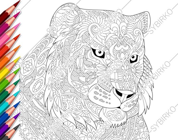 coloring pages for adults tiger lion adult etsy canada coloriages de membres des vengeurs
