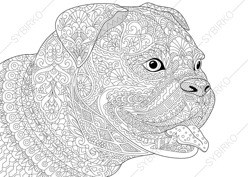 Bulldog. Boxer Dog. Coloring Page for National Pet day | Etsy