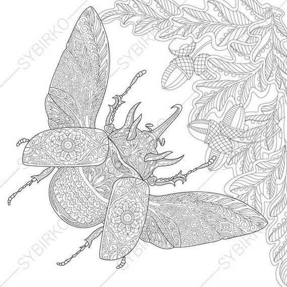 Rhinoceros Beetle. 2 Coloring Pages. Animal coloring book | Etsy