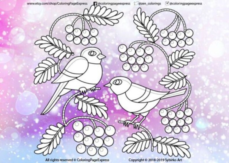 9900 Coloring Pages Adults Birds Images 9900 Coloring Pages Adults Birds Images