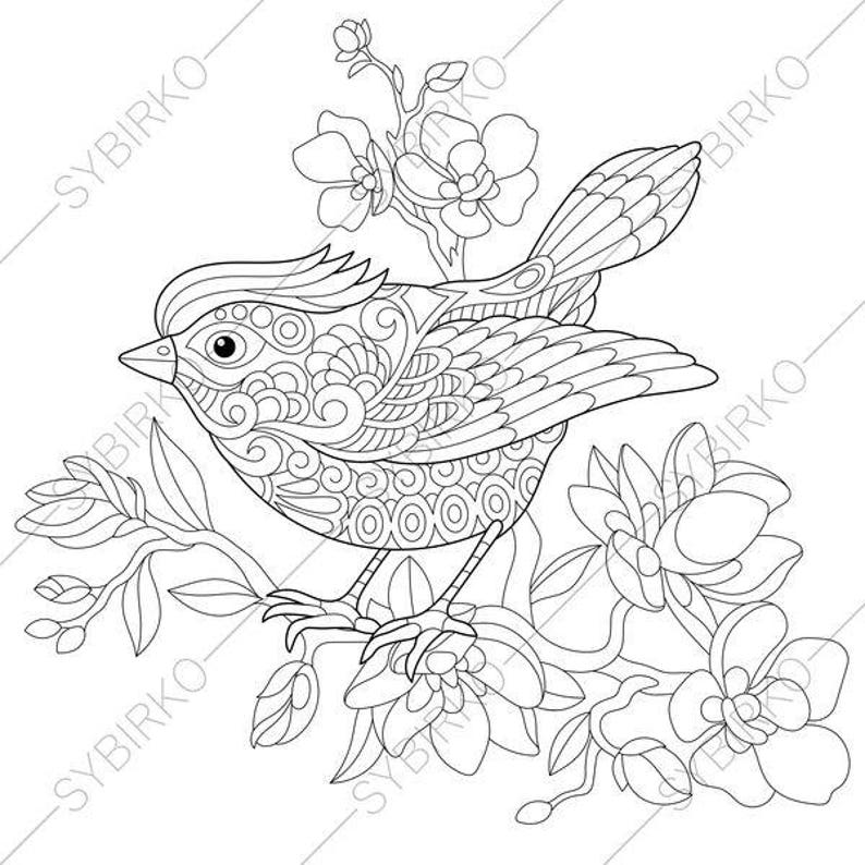107+ Bird Coloring Book Pages Picture HD