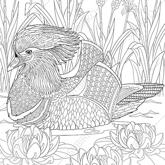 2 Coloring Pages Animal Book