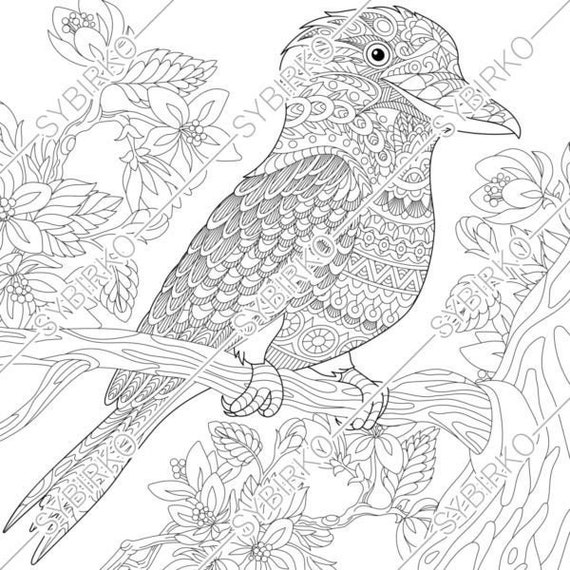 Download Coloring Pages For Adults Kookaburra Bird Australian Etsy
