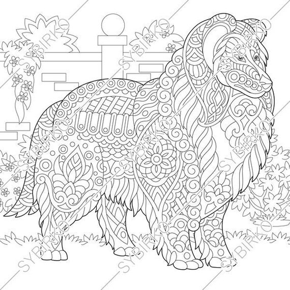 Download Coloring pages for adults. Rough Collie. Shetland Sheepdog ...