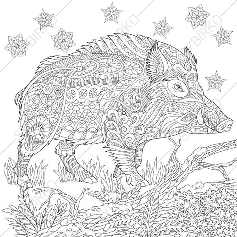 Wild Boar. 2 Coloring Pages. Animal coloring book pages