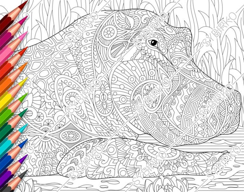 Coloring pages for adults. Hippo. Hippopotamus. Adult coloring | Etsy