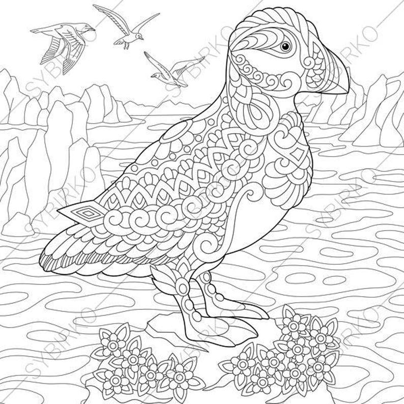 Puffin Coloring Pages Animal Coloring Book Pages For Adults Instant Download Print