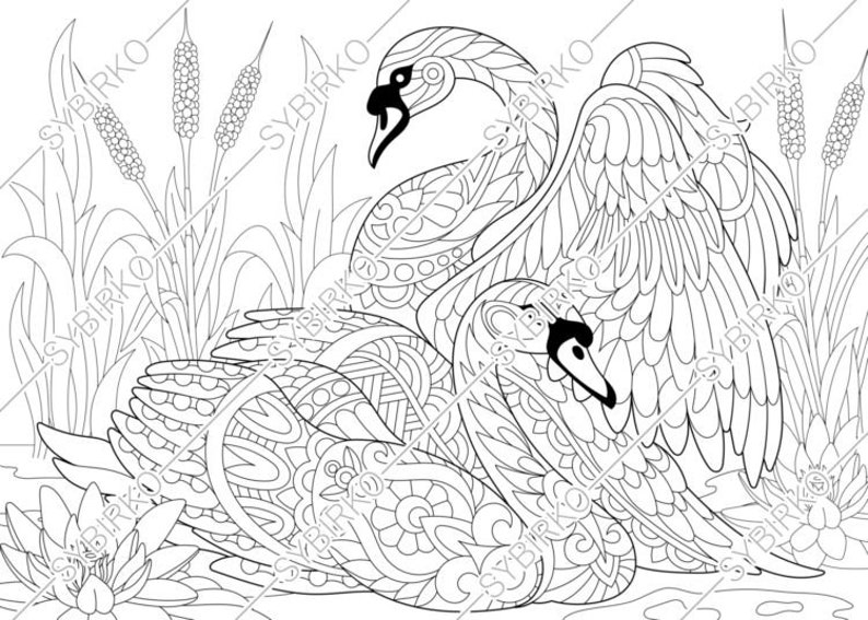 Coloring pages for adults. Swan. Birds in Love. Adult coloring | Etsy