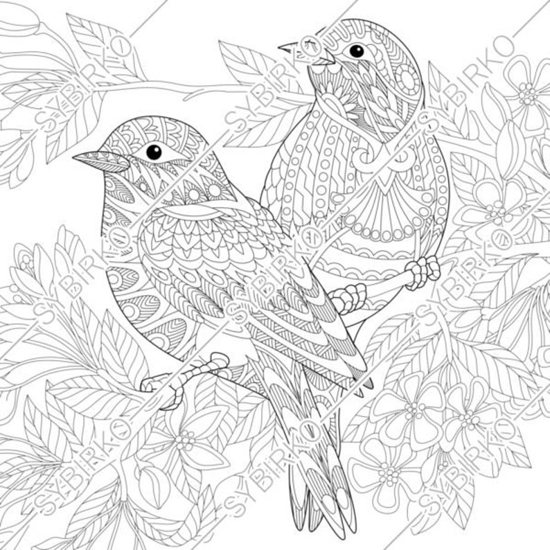 Download Coloring pages for adults. Lovely Birds Couple. Spring | Etsy