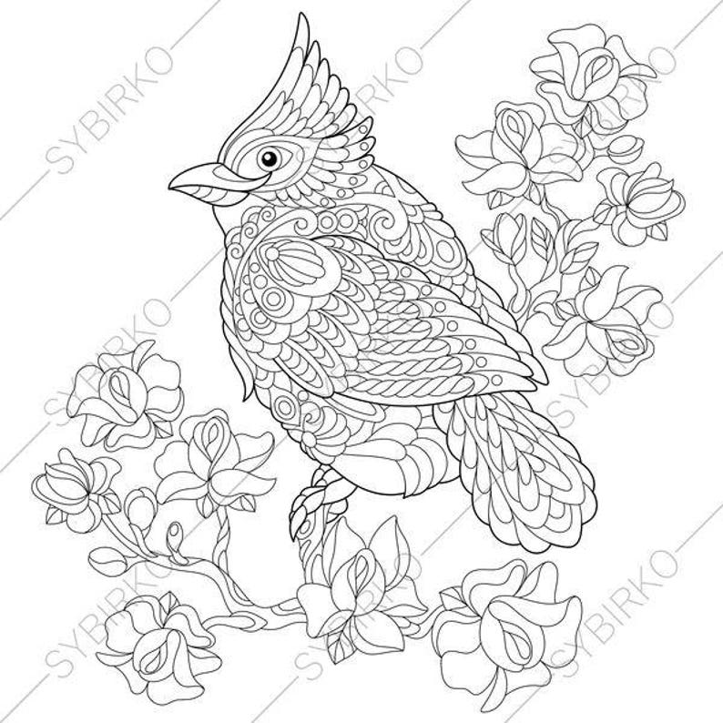 Download Red Cardinal Bird. Coloring Page. Animal coloring book ...