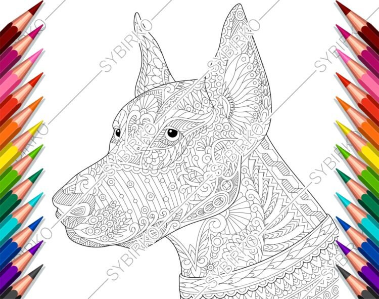 Coloring pages for adults. Doberman Dog. Adult coloring pages. | Etsy