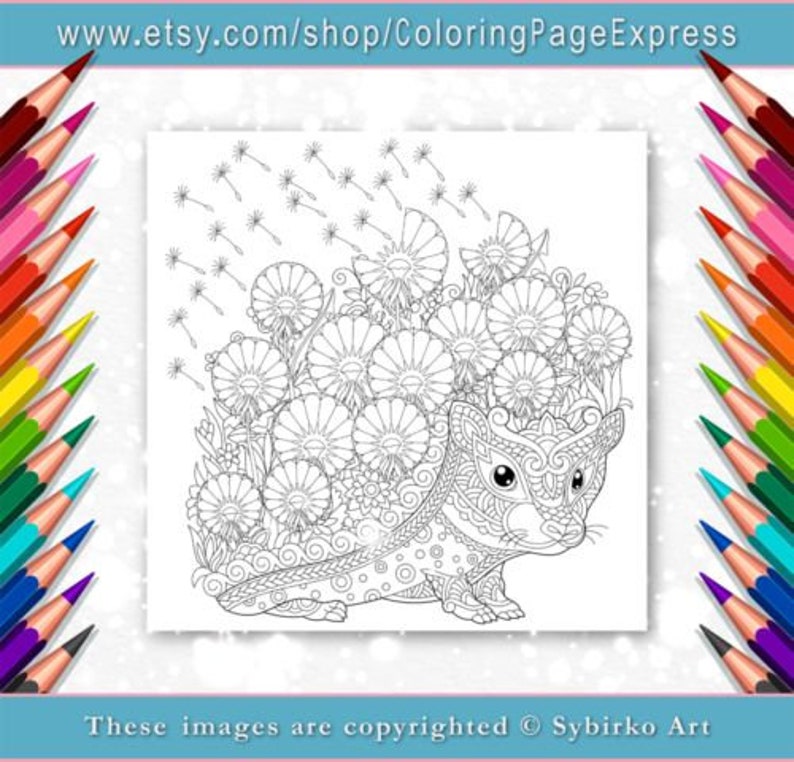 Coloring page for adults. Digital coloring page. Hedgehog. | Etsy