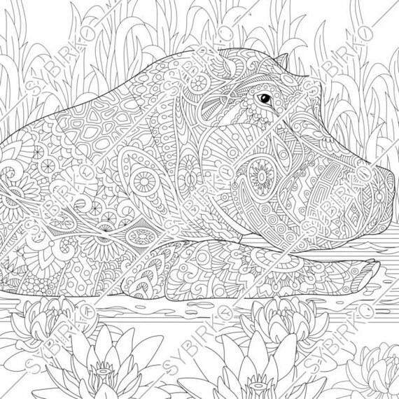 Download Coloring Pages For Adults Hippo Hippopotamus Adult Coloring Etsy