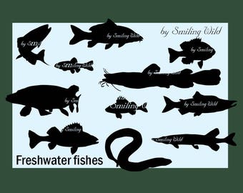 Download Freshwater Fish Svg Etsy