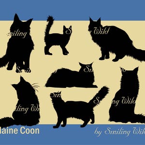 Maine coon cat silhouette svg png bundle clipart chaton vector art graphique chat imprimable chat kitty fichier découpé au laser art commercial de chat