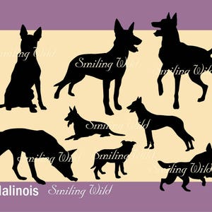May include: Silhouettes of eight black Malinois dogs in various poses against a light yellow background with the text "Smiling Wild" repeated throughout the image. The word "Malinois" is written in black at the bottom of the image.