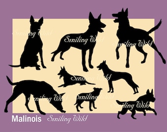 Malinois Silhouette Vector Graphic, Belgian Shepherd Clipart (PNG, SVG, EPS)