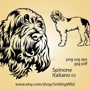 Archivo de corte de clipart de perro de caza Spinone Italiano SVG para Cricut: gráfico vectorial recortable, retrato, rostro, diseño digital, arte vectorial