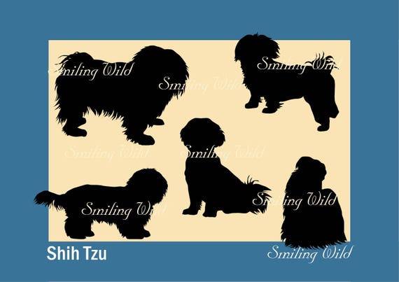 Shih Tzu Silhouette Svg Clipart Cut Out Dog Vector Graphic Art Etsy