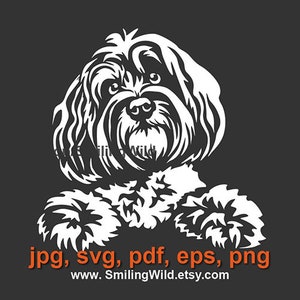 Havaneser Hund svg Porträt weißer Druck auf schwarzem Havaneser Clipart schneidbare Cricut-Datei, spähender Havaneser Hund zeigt Pfoten digitales Design