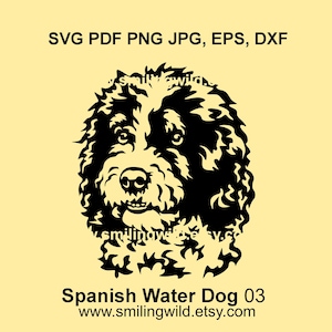 Spanish Water Dog SVG PNG DXF vector graphic cuttable clipart digital logo design, perro de agua español laser, Silhouette & cricut cutting