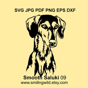 Gladde Saluki Clipart SVG PNG DXF hoofd – realistische hond afbeelding - vectorbestand, DIY Crafts Cricut, Lasersnijden, instant download