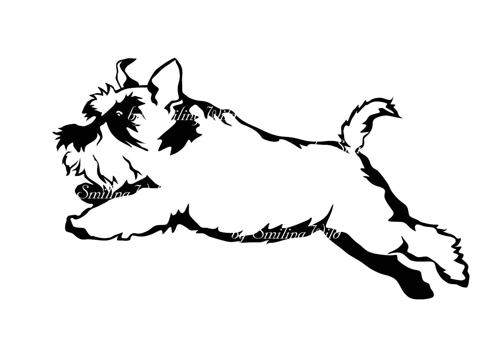 Miniature Schnauzer Svg Jumping Dog Clipart Mini Schnauzer Png Etsy