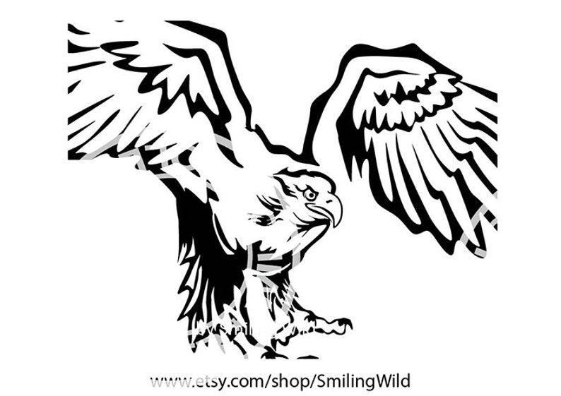 White Tailed Eagle Svg Flying Bird Vector Graphic Art Cricut Etsy