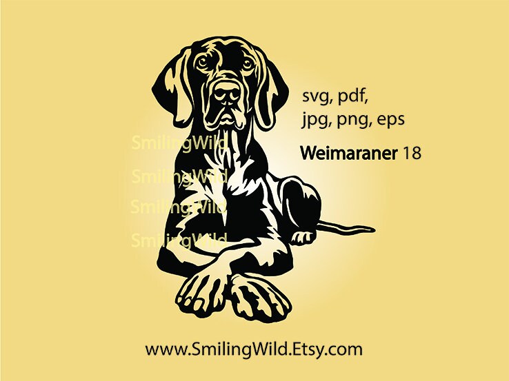 Weimaraner Svg Vector Graphic Art Clipart Pet Artwork Dog Design
