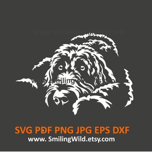 Labradoodle SVG PNG DXF Clipart - Chien couché réaliste blanc vector Découpe graphique et gravure Design Cricut, Laser, téléchargement, logo