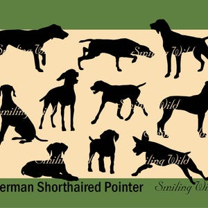 German Shorthaired Pointer SVG & PNG Clipart Silhouette bundle - laser cutout vector graphic art printable dog commercial use artwork