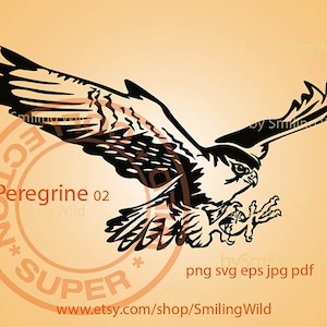 Halcón peregrino svg y png vector gráfico arte pájaro volador clipart aves de caza aves de presa svg Halcón peregrino archivo cortado con láser diseño de cetrería