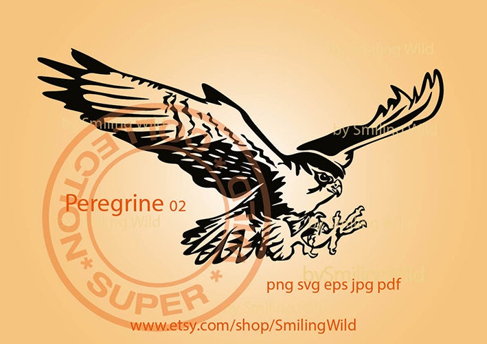 ハヤブサのベクターアート、飛んでいる鳥のクリップアート（SVG、PNG