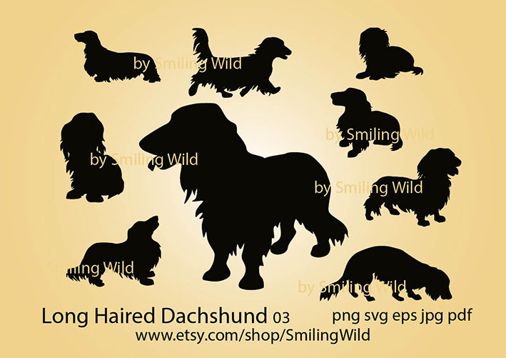 Long haired Dachshund svg silhouette dog vector graphic art | Etsy
