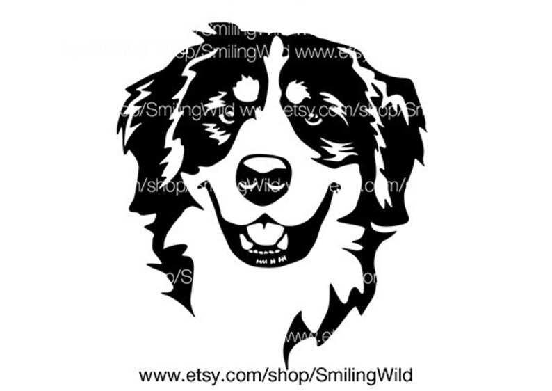 Free Free 247 Mountain Dog Svg SVG PNG EPS DXF File