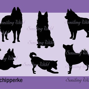 schipperke silhouette svg png schipperke vector graphic art design cutout clipart printable schipperke instant download digital