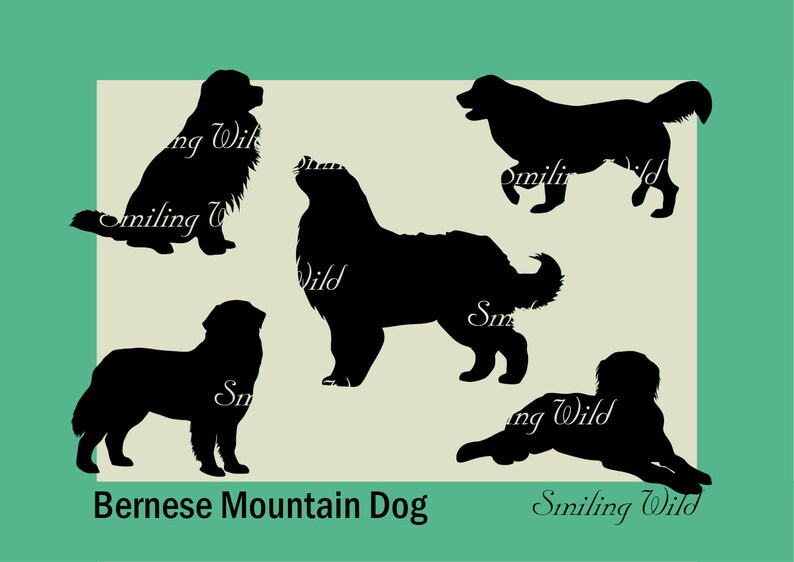 Free Free 202 Mountain Dog Svg SVG PNG EPS DXF File