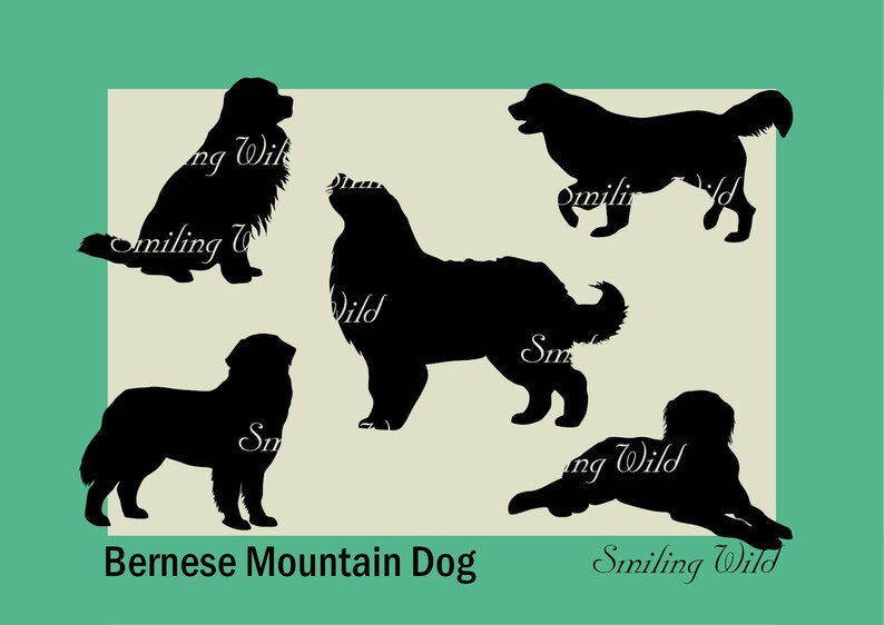 Free Free Mountain Dog Svg 900 SVG PNG EPS DXF File