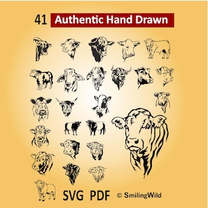 May include: A collection of 41 authentic hand-drawn cow illustrations in black and white. The image includes various cow head and body profiles, with the text "SVG PDF" and the copyright notice "SmilingWild".
