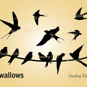 Hirondelle silhouette clipart svg oiseaux sur blanc png hirondelle volante vector art imprimable téléchargement immédiat Hirundo rustica usage commercial