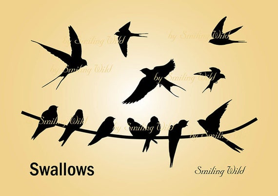 Hirondelle Silhouette Clipart Svg Oiseaux Sur Png Whire Vol Hirondelle Vector Art Téléchargement Numérique Instantané Hirundo Rustica Usage Commercial