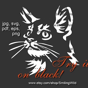 Maine coon (03) chat svg portrait impression blanche sur noir Manine Coon vecteur art graphique coupe fichier chat couper cricut cricut maine coon design numérique