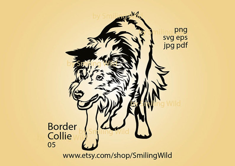 Working Border Collie svg 11 herding dog vector graphic art laser cut file Border Collie clipart cuttable cricut dog head logo digital