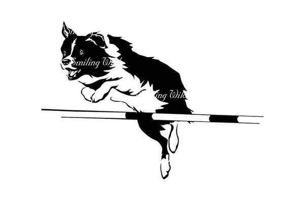 Download Border Collie Dog Agility Svg Clipart Vector Graphic Art Dog Etsy PSD Mockup Templates