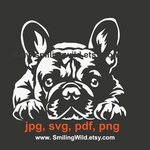 Bulldog Francês svg cachorro branco vetor gráfico espiando Bulldog Francês cachorro clipart cricut arquivo de corte design digital cortável
