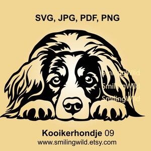 Kooikerhondje hond SVG-, PNG- en DXF-clipart - schattig liggend hondenontwerp voor Cricut, lasersnijden en -graveren, instant download