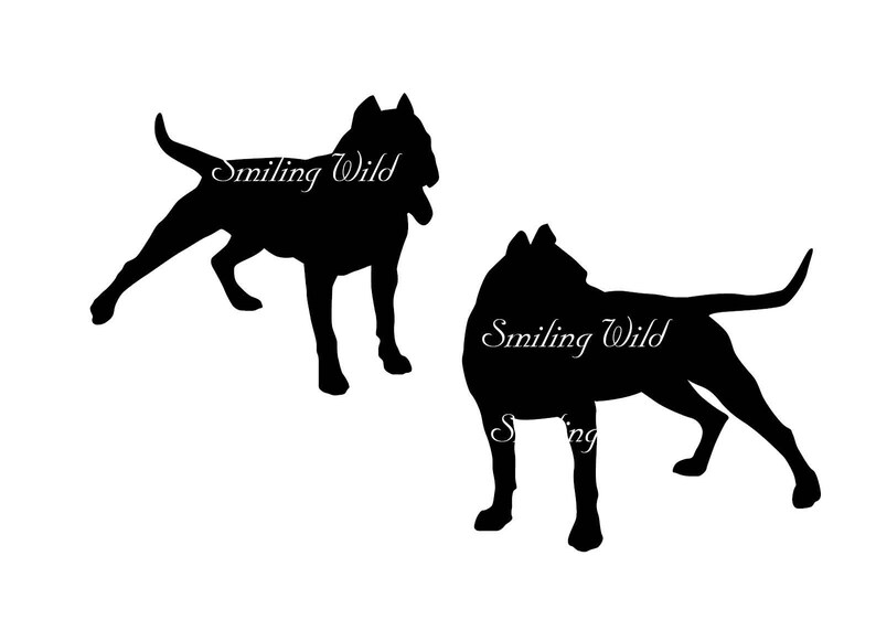 Download Amstaff svg American Staffordshire Terrier svg silhouette ...