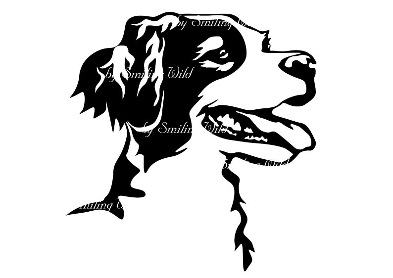 Épagneul breton svg chien clipart vectoriel art graphique épagneul breton portrait oeuvre coupe fichier couper imprimable dessin numérique png image 3