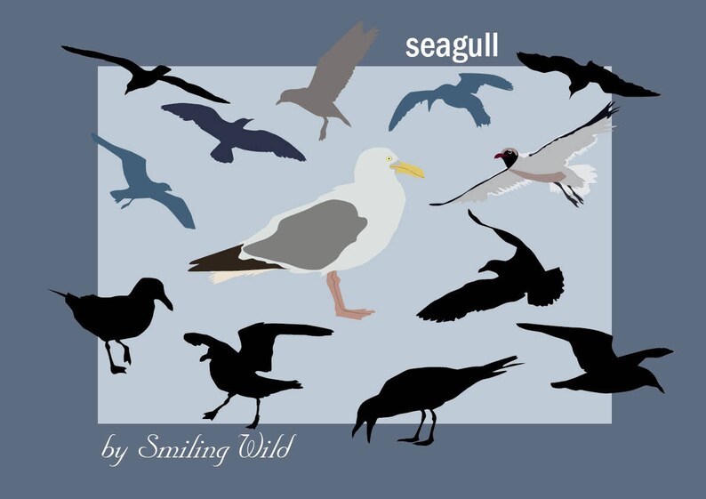 seagull svg chicken silhouettes waterfowl clipart printable present downloadable print sea birds Möwe druckfertig vector picture instantaneous down load image about Bird Silhouette Printable called seagull svg fowl silhouettes waterfowl clipart printable present downloadable print sea birds Möwe druckfertig vector picture quick down load