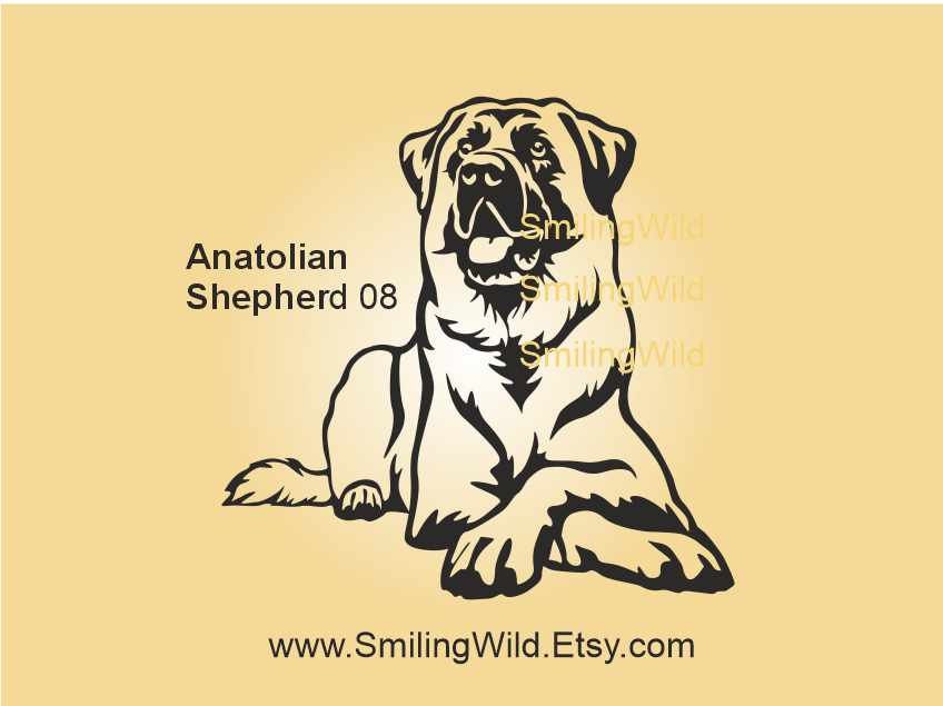 Anatolian Art - Etsy